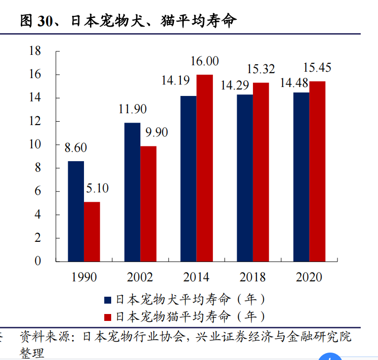 邦内宠物用品商场客岁达369亿元最大的细分蛋糕是哪个？(图5)