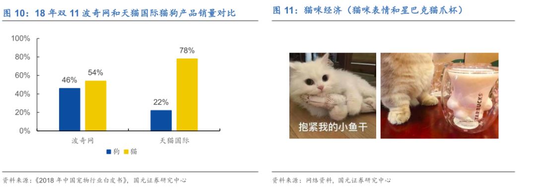 宠物另日投资蓝海剖释宠物用品用这几个牌子就够了(图11)