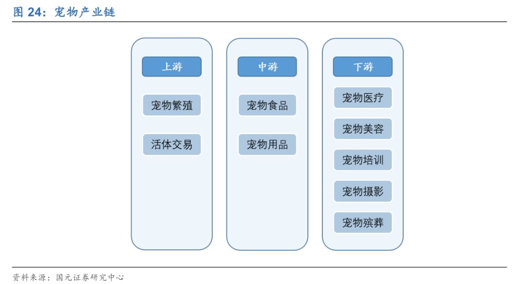 宠物另日投资蓝海剖释宠物用品用这几个牌子就够了(图19)