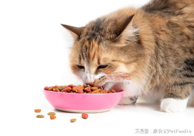 熊猫体育app：欠妥协的爱：新一代宠物主的宠物食物购置偏好(图2)