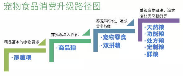 熊猫体育app：2021中邦宠物食物行业深度全景解读(图15)